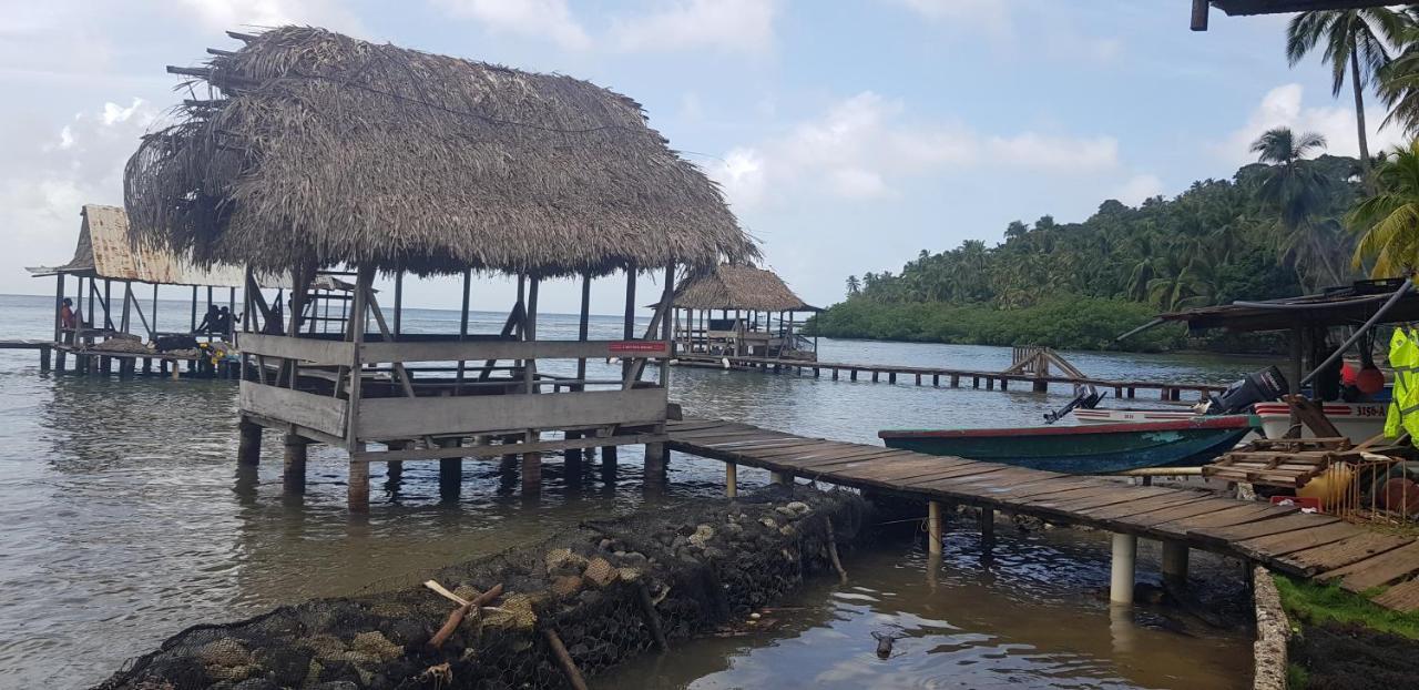 Rainforest Lodge Del Rio Portobelo Dış mekan fotoğraf