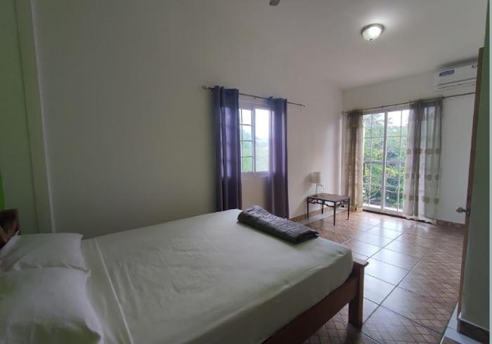 Rainforest Lodge Del Rio Portobelo Dış mekan fotoğraf