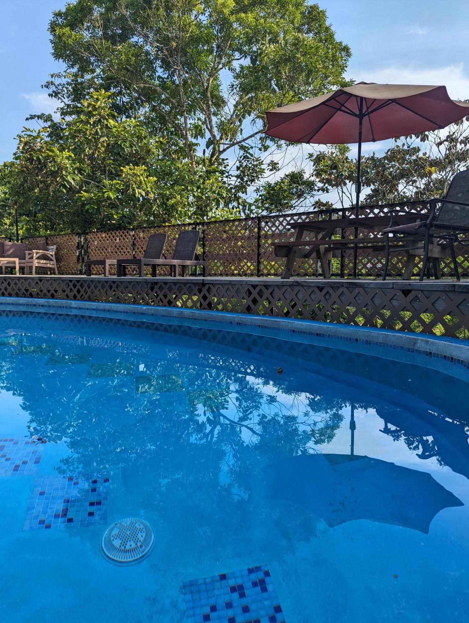 Rainforest Lodge Del Rio Portobelo Dış mekan fotoğraf